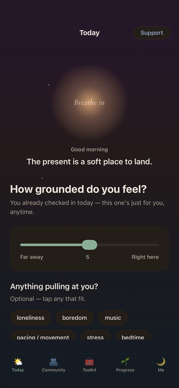 Today screen, dark mode